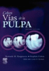 VIAS DE LA PULPA