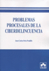 PROBLEMAS PROCESALES DE LA CIBERDELINCUENCIA 2014