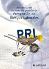 AUDITORA DE PREVENCIN DE RIESGOS LABORALES