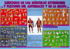 EJERCICIOS DE LOS M�SCULOS FLEXORES DE ANTEBRAZO Y MANO