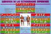 EJERCICIOS DE LAS EXTREMIDADES SUPERIORES