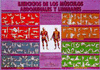 EJERCICIOS DE LOS M�SCULOS ABDOMINALES Y LUMBARES