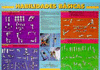 NATACI�N-HABILIDADES B�SICAS