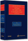 SISTEMAS DE DERECHOS FUNDAMENTALES