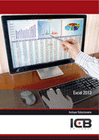 EXCEL 2013