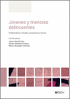 JOVENES Y MENORES DELINCUENTES (LBD)