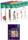 LOTE SOBOTTA ATLAS DE ANATOM�A HUMANA, 3 VOLS. + GRAY ANATOM�A PARA ESTUDIANTES