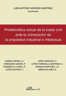 PROBLEMTICA ACTUAL DE LA TUTELA CIVIL ANTE LA VULNERACIN DE LA PROPIEDAD INDUSTRIAL E INTELECTUAL.