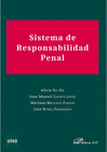 SISTEMA DE RESPONSABILIDAD PENAL.