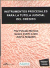 INSTRUMENTOS PROCESALES PARA LA TUTELA JUDICIAL DEL CRDITO