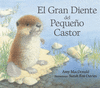 GRAN DIENTE DEL PEQUE�O CASTOR
