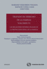 TRATADO DE DERECHO DE LA FAMILIA (VOLUMEN VI)