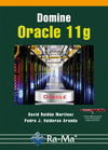 DOMINE ORACLE 11G