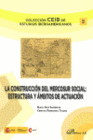 LA CONSTRUCCI�N DEL MERCOSUR SOCIAL. ESTRUCTURA Y �MBITOS DE ACTUACI�N.