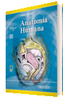 ANATOMA HUMANA 5ED. T2 (E-BOOK)