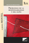 PROBLEMAS DE LA RESPONSABILIDAD Y DEL DA�O